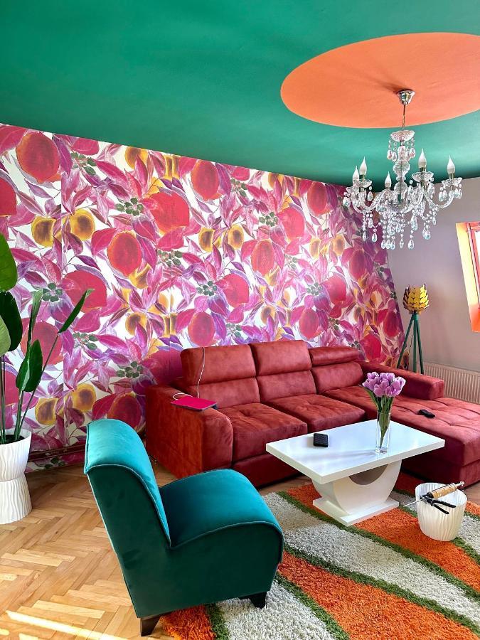 Apartment Amore Mio Golubac Dış mekan fotoğraf